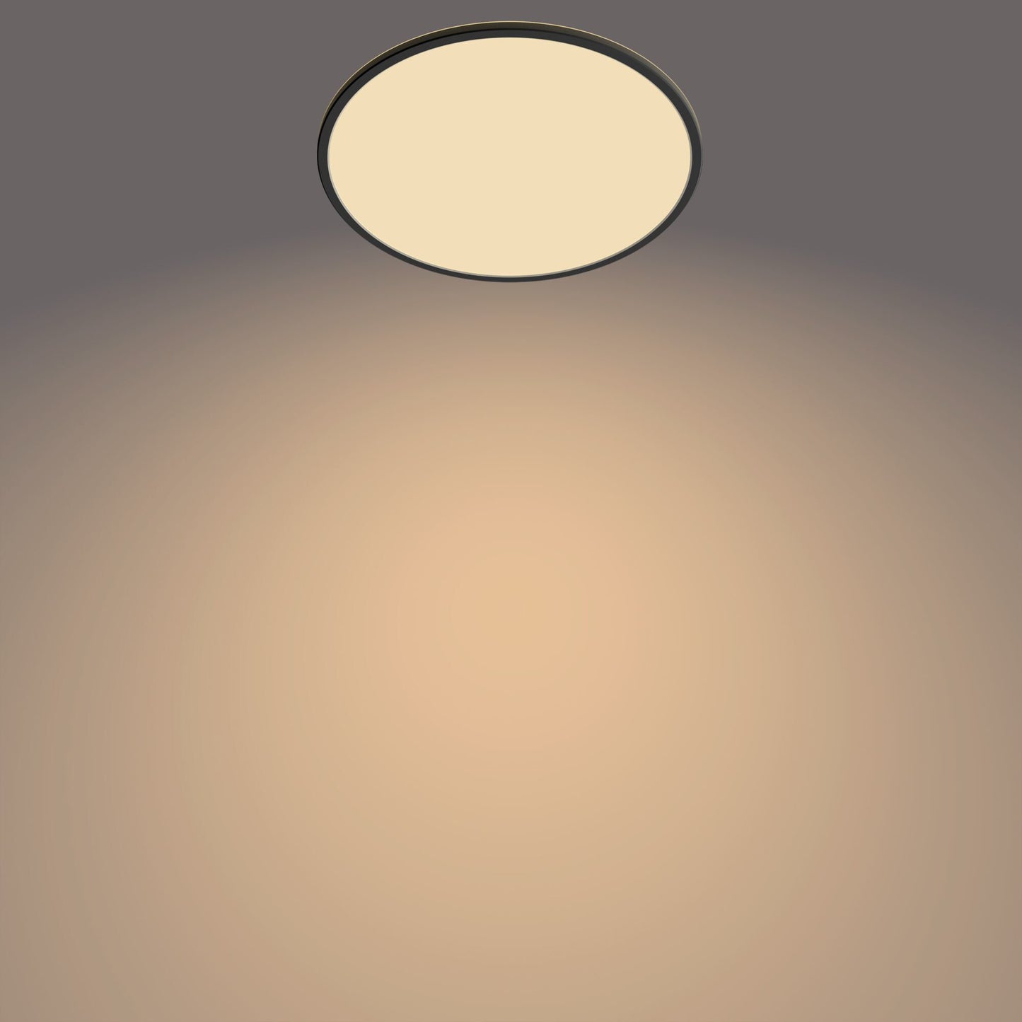 Philips Funktionell Supertunn taklampa 22 W