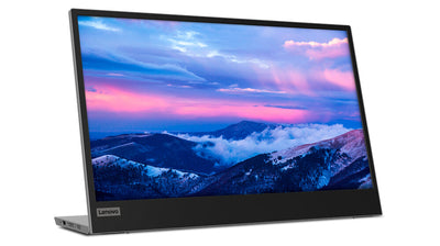 Lenovo L15 LED display 39,6 cm (15.6") 1920 x 1080 pixlar Full HD Svart, Grå