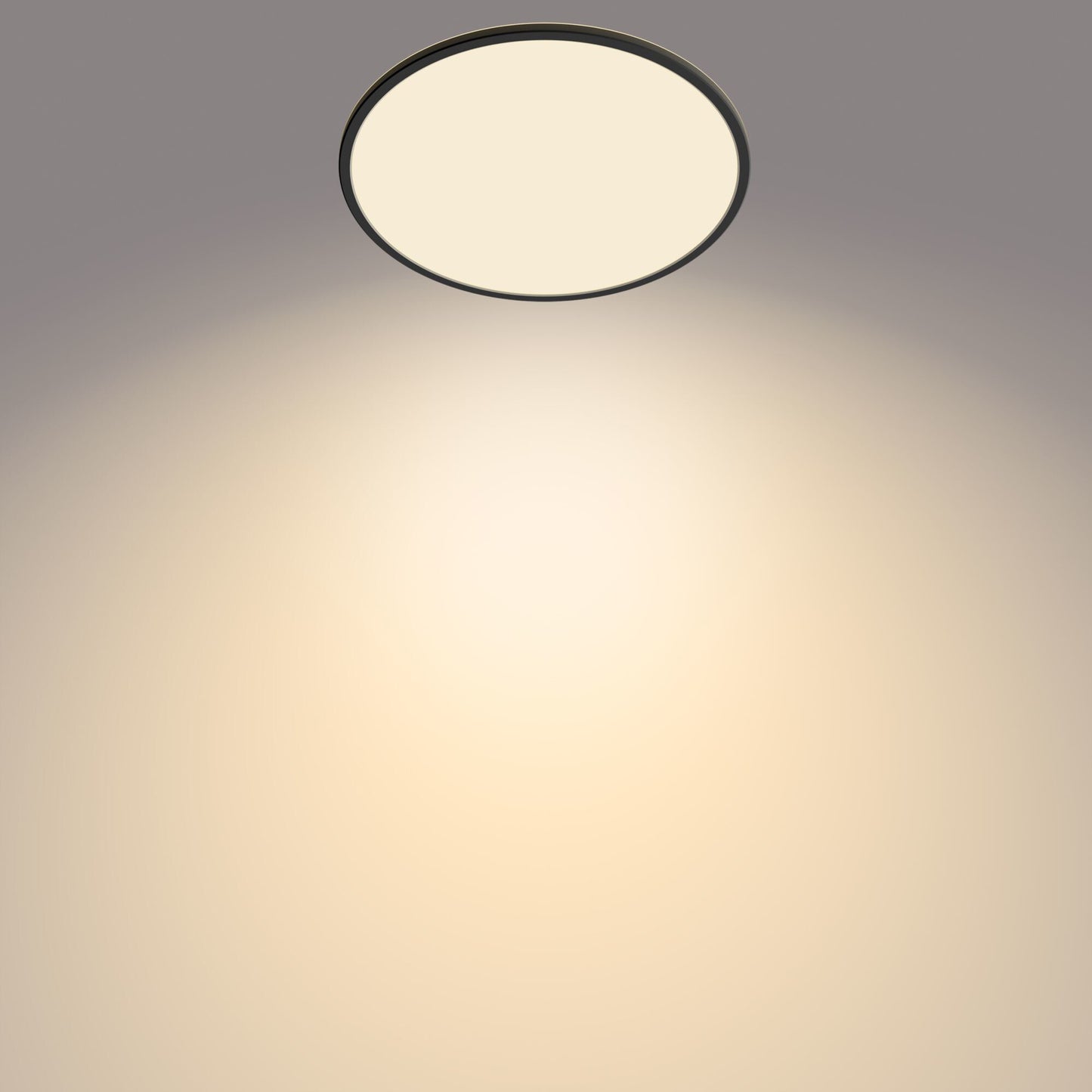 Philips Funktionell Supertunn taklampa 22 W
