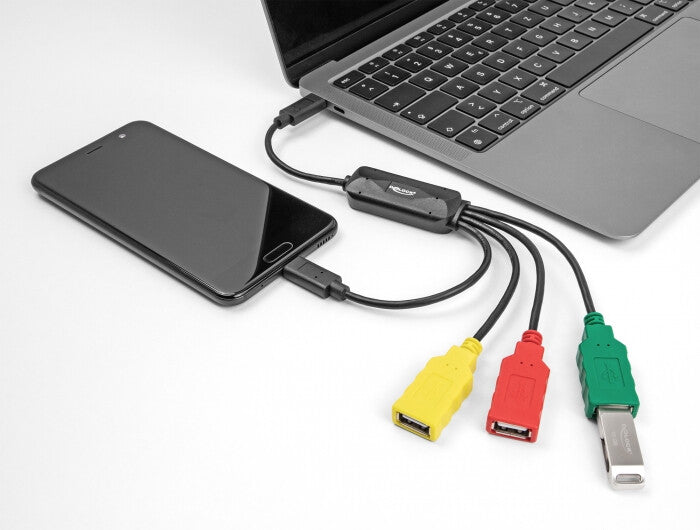 DeLOCK 64203 kabelomvandlare (hane/hona) USB Type-C 3 x USB-A female + 1 x USB-C Multifärg