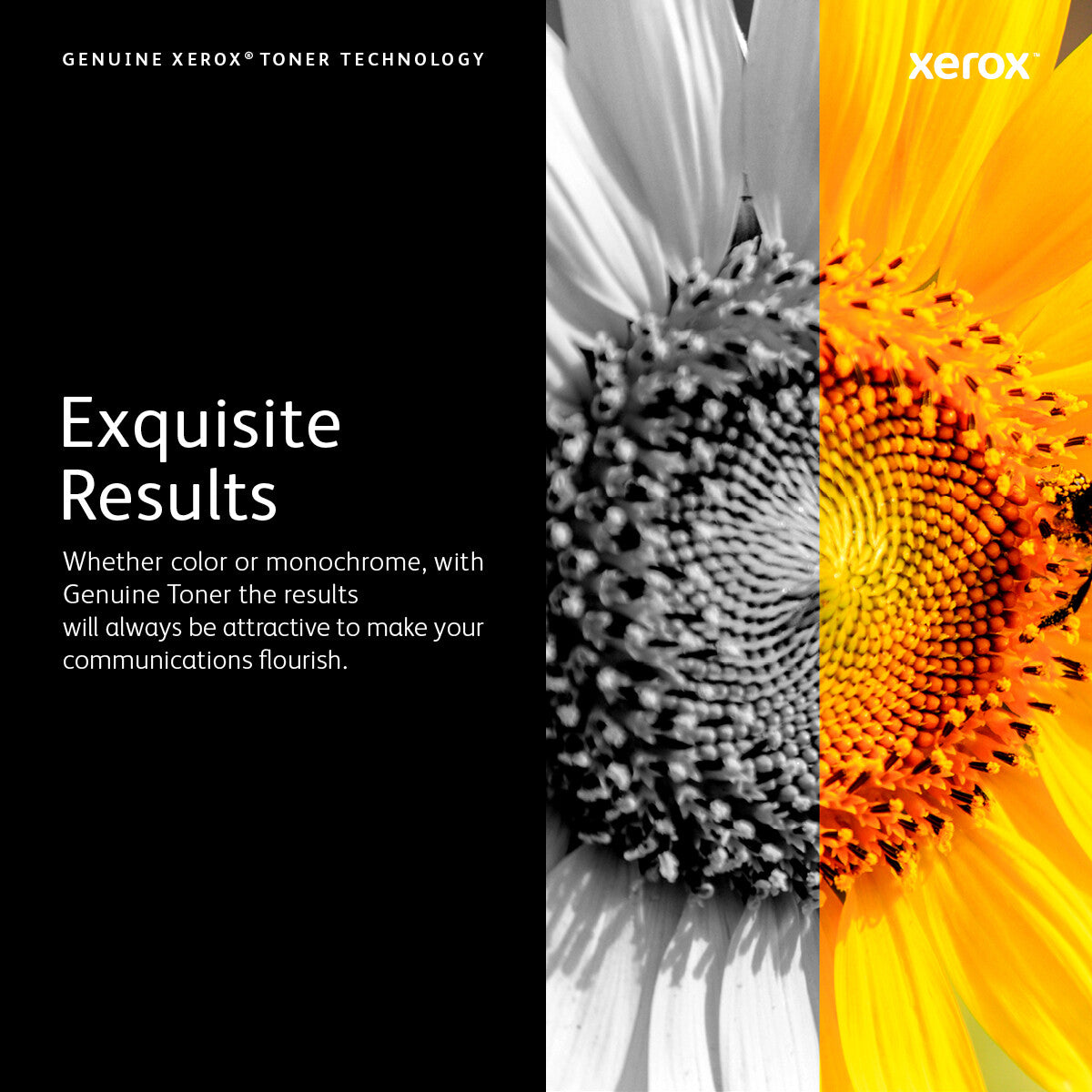Xerox VersaLink C60X, cyan standardtonerkassett (6 000 sidor)
