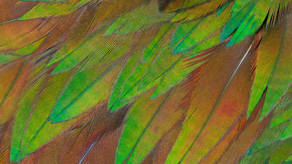 Philips 3000 series 27B1U3900/00 platta pc-skärmar 68,6 cm (27