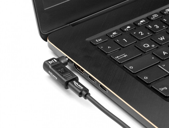 DeLOCK 60009 mobilladdare Bärbar dator Svart USB inomhus