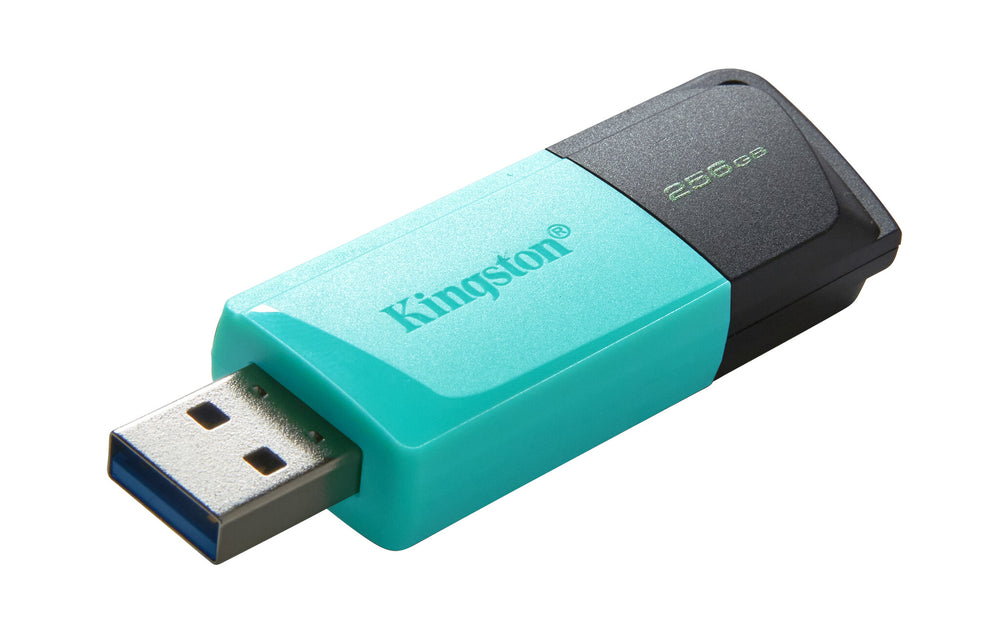 Kingston Technology DataTraveler Exodia M USB-sticka 256 GB USB Type-A 3.2 Gen 1 (3.1 Gen 1) Svart, Turkos