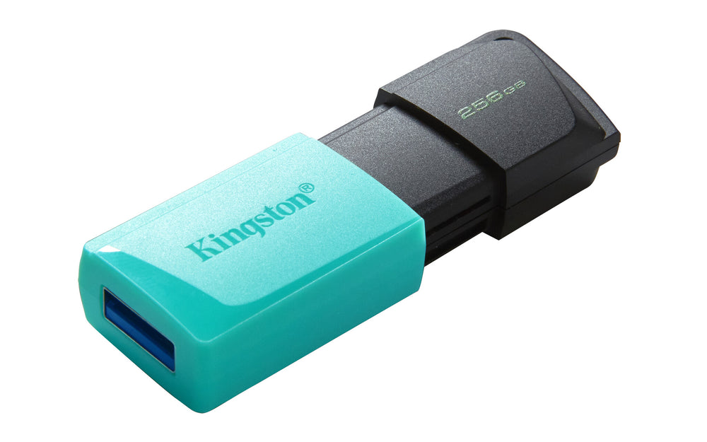 Kingston Technology DataTraveler Exodia M USB-sticka 256 GB USB Type-A 3.2 Gen 1 (3.1 Gen 1) Svart, Turkos