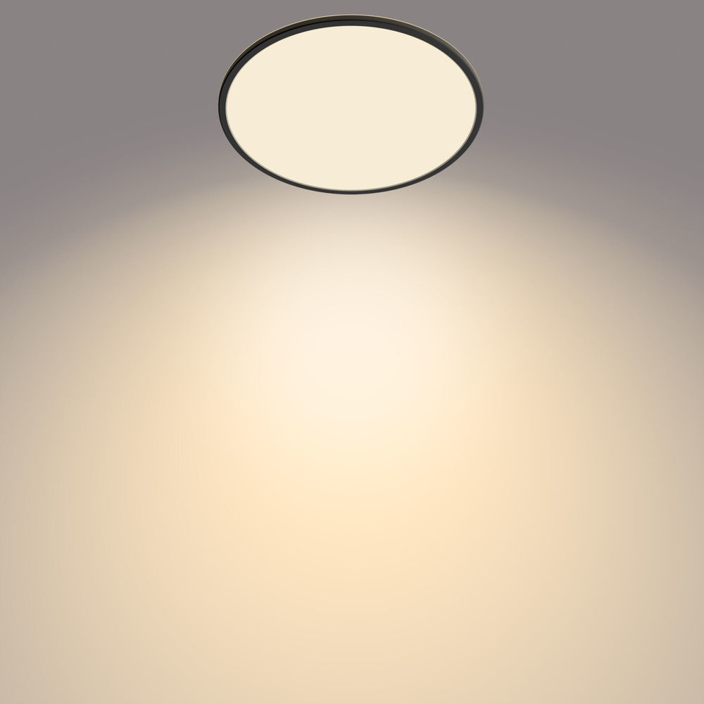 Philips Funktionell Supertunn taklampa 22 W