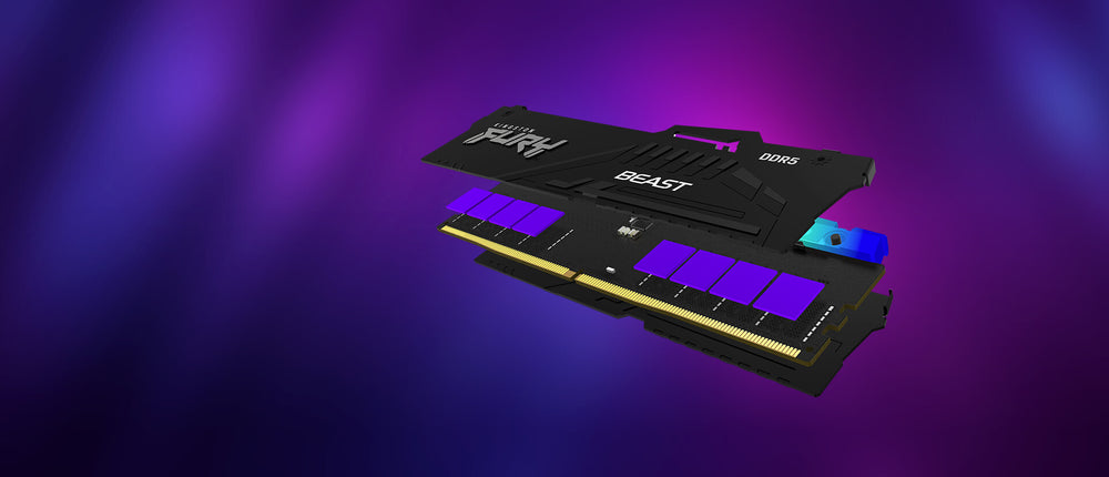 Kingston Technology FURY Beast RGB RAM-minnen 8 GB 1 x 8 GB DDR5 2800 MHz