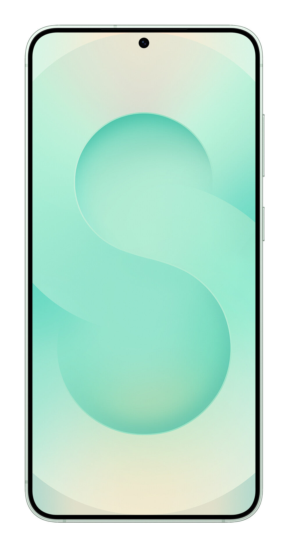 Samsung Galaxy S25+ 17 cm (6.7") Dubbla SIM-kort Android 15 5G USB Type-C 12 GB 256 GB 4900 mAh Mintfärgad