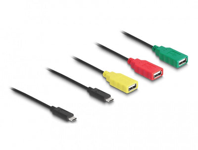 DeLOCK 64203 kabelomvandlare (hane/hona) USB Type-C 3 x USB-A female + 1 x USB-C Multifärg