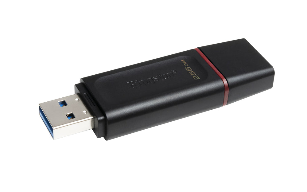 Kingston Technology DataTraveler Exodia USB-sticka 256 GB USB Type-A 3.2 Gen 1 (3.1 Gen 1) Svart, Rosa